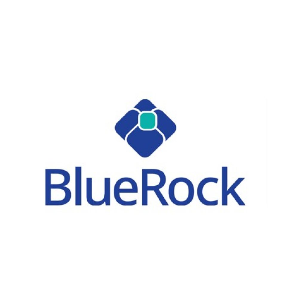 bluerock-website